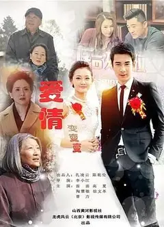 爱情变变变