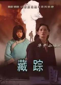 华严小镇2之藏踪
