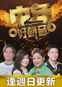 中年好声音