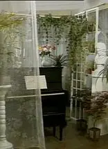 寒星1992