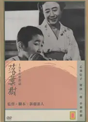落叶树