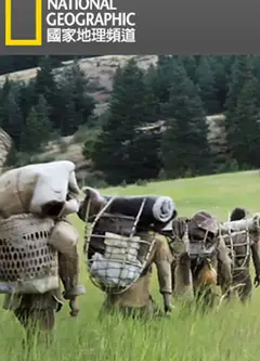 活在荒野
