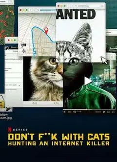别惹猫咪：追捕虐猫者