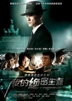我的绝密生涯
