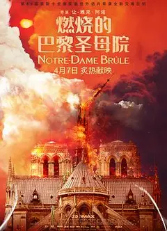 燃烧的巴黎圣母院