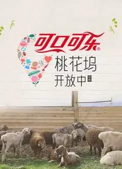 桃花坞开放中第四季