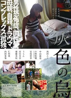 灰色乌鸦