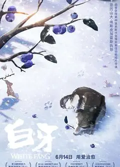 白牙