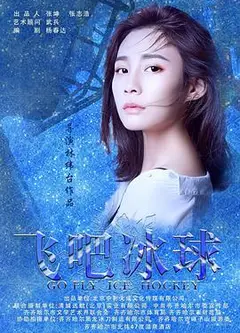 飞吧冰球