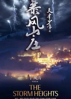 天才少年之暴风山庄