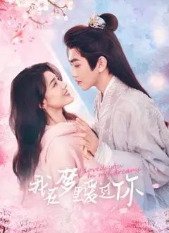 我在梦里爱过你