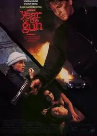 枪支年代