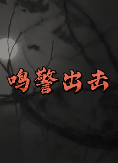 鸣警出击