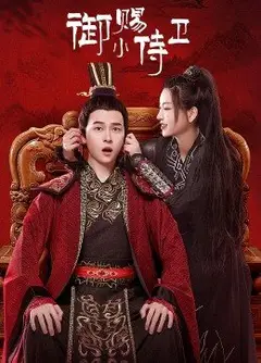 御赐小侍卫