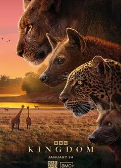 动物王国2025国语