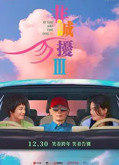 非诚勿扰3