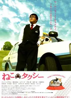 猫咪出租