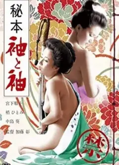 秘本袖与袖