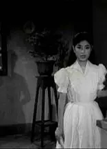 嫂夫人粤语