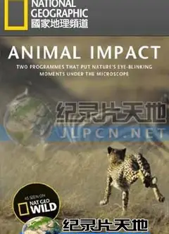 动物构造大揭密