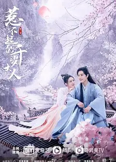 惹不起的千岁大人