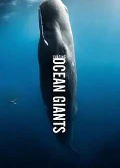 追踪海洋巨兽