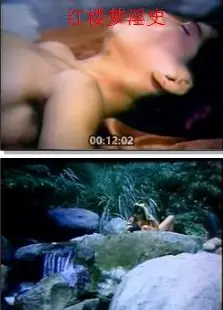 红楼梦淫史