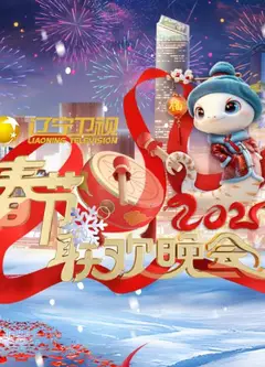 2025辽宁卫视春晚