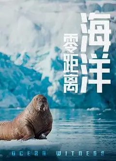 海洋零距离