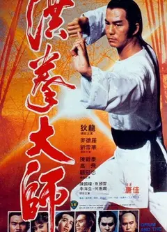 洪拳大师