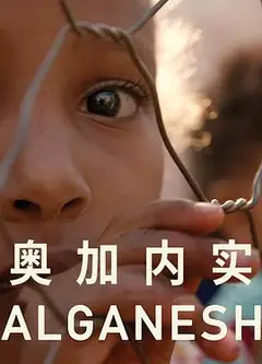 奥加内实