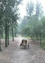 错门记