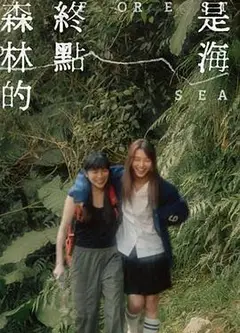 森林的终点是海