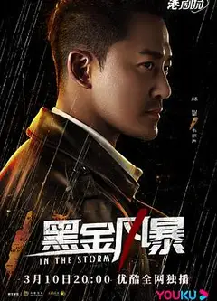 黑金风暴国语