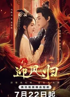 迎凤归