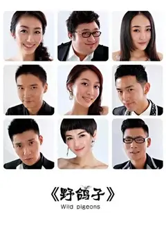 野鸽子