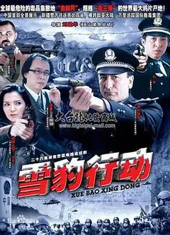 雪豹行动