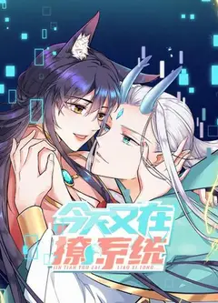 今天又在撩系统