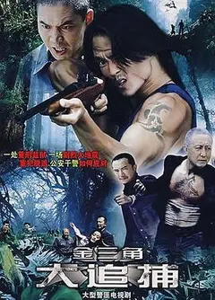 大追捕2008