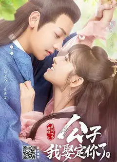 公子，我娶定你了第二季