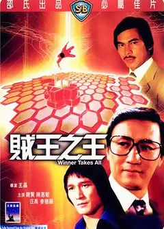 贼王之王1982