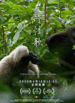 天行情歌