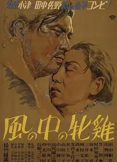 风中的母鸡