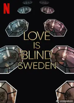 爱情盲选：瑞典篇第3季