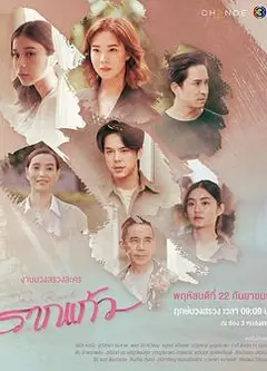 情根固爱