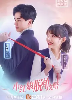 小红娘脱单攻略