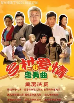 乡村爱情变奏曲