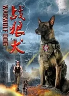 战狼犬
