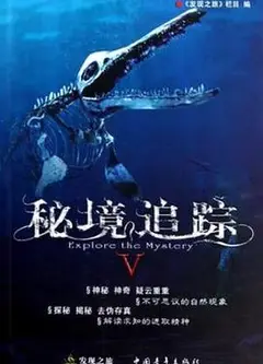 秘境追踪Ⅴ