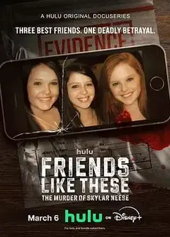 像他们这样的朋友 斯凯拉·尼斯的谋杀案